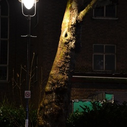 London/Tottenham Court Road/DSC_0010.JPG